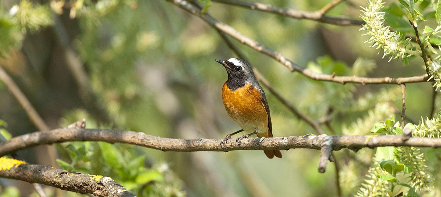 &copy; Michael Gerber