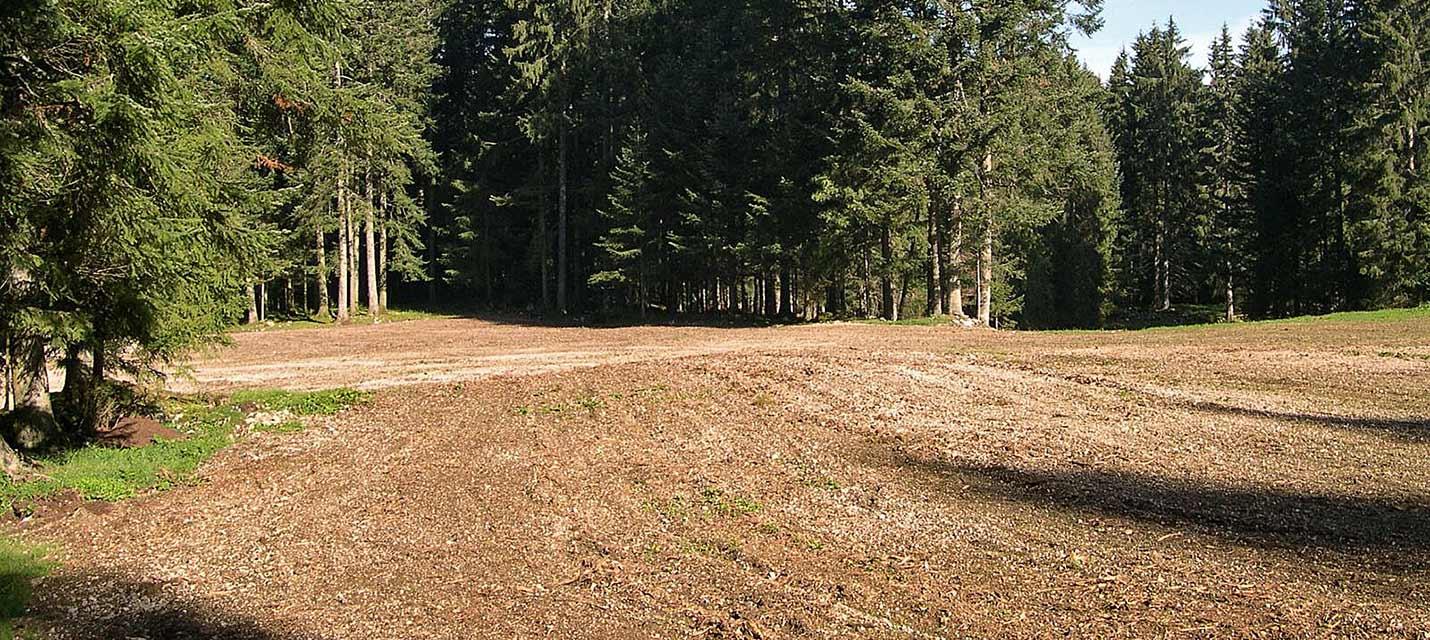 Zerst&ouml;rerische Steinfr&auml;sen