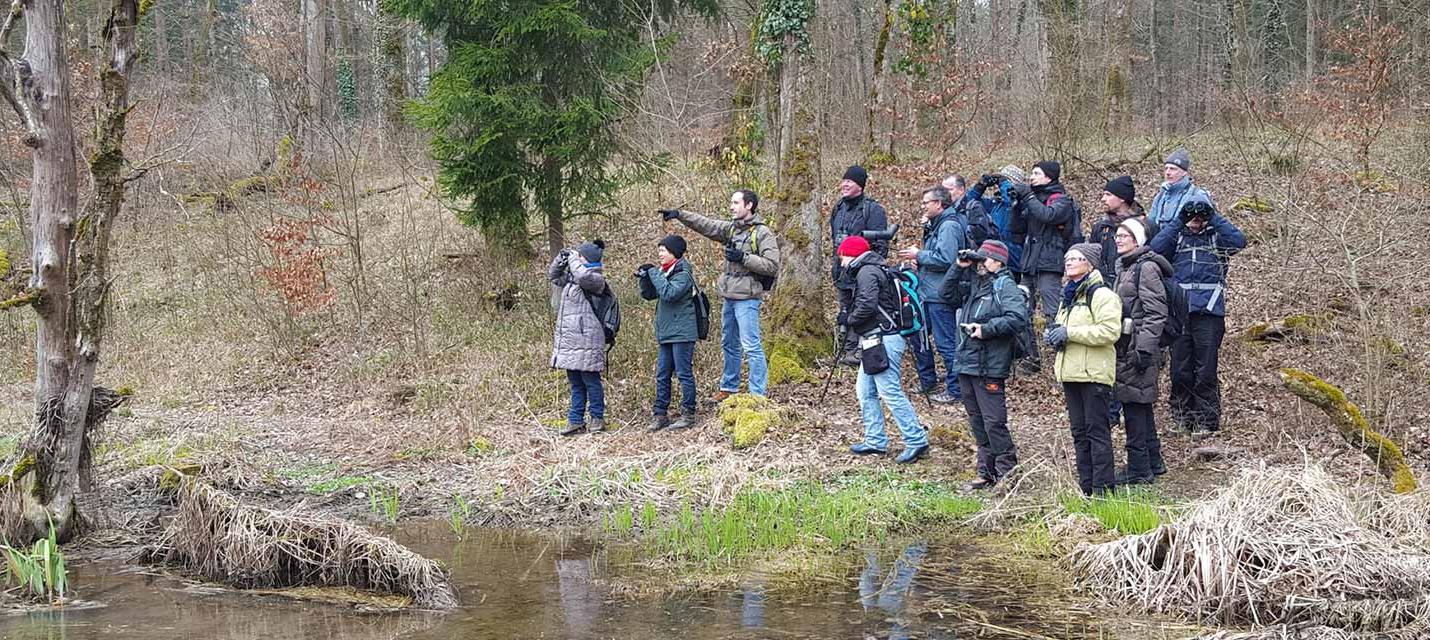 Formation romande en ornithologie