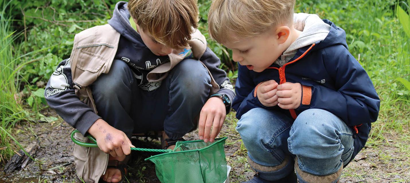 Keschern im Neeracherried