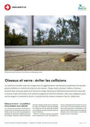 Oiseaux et vitres : &eacute;viter les collisions