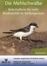 Arbeitsdossier Mehlschwalbe