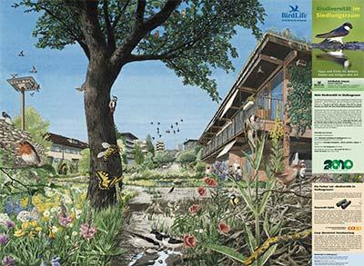 Poster &laquo;Biodiversit&auml;t im Siedlungsraum&raquo;