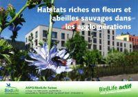 Habitats riches en fleurs et abeilles sauvages dans les agglom&eacute;rations