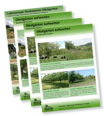 Poster-Serie Hochstamm-Obstgarten